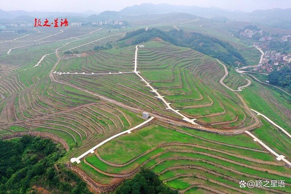 智策管家 人造梯田规模庞大，荒草疯长，适合放牛羊